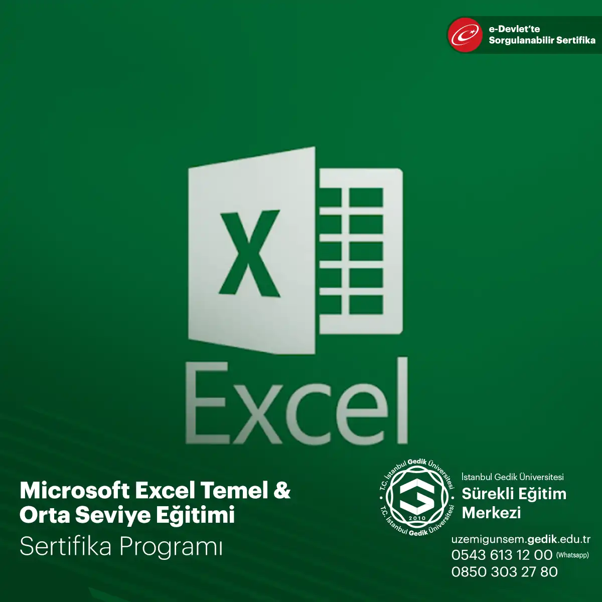 Microsoft Excel Temel & Orta Seviye Eğitimi 